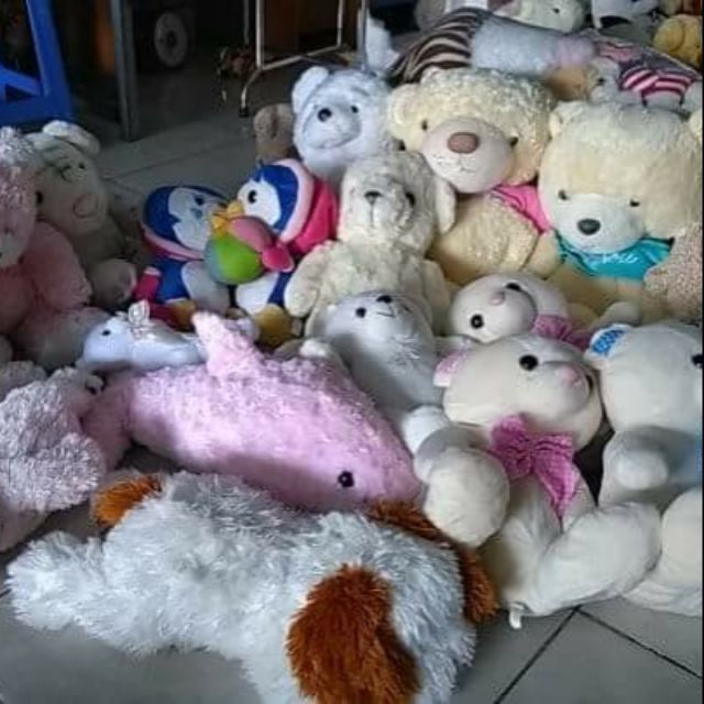 Gấu Nguyễn yến mới