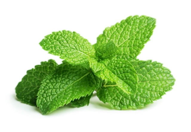 Tinh Dầu Bạc Hà 10ML 100% Nguyên Chất Organic - Chai nhỏ giọt [ Peppermint Essential Oil ]