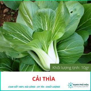 Hạt giống Cải Thìa 108-10gr Ca-Na-An -Tỉ Lệ Nảy Mầm Cao, Thu Hoạch Quanh Năm, Ăn Ngon Ngọt, Tốt Cho Sức Khỏe