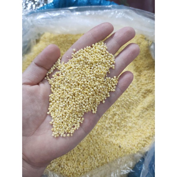 Hạt kê nếp - 200gr
