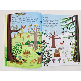Dính dán - Usborne sticker book - How things grow