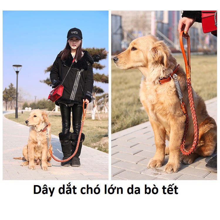 Dây dắt chó lớn + có lò xo trợ lực dây da bò tết cho chó trên 20kg