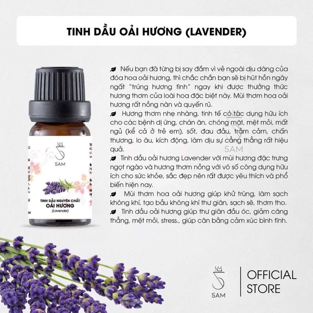 Tinh dầu Oải hương Pháp 10ml | 5AM Store