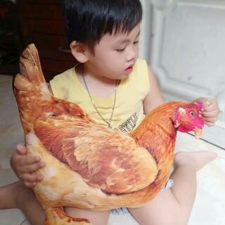 Gối ôm 3d con gà mái 50cm