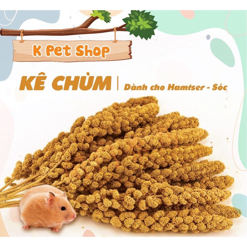 Kê Chùm Thức Ăn Bổ Dưỡng 🐶 FREE SHIP 🐶 Thức Ăn Cho Hamter Vẹt Sóc....