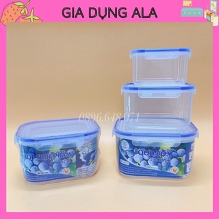Hộp Nhựa Đựng Thức Ăn Thực Phẩm Đựng Đồ Ăn, Hộp Bảo Quản Thực Phẩm Tủ Lạnh (Set 3 Hộp)
