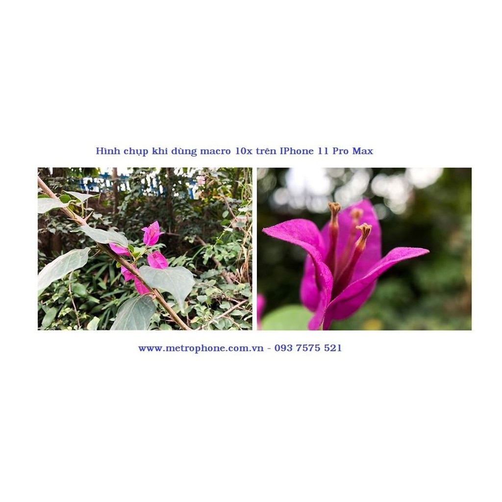 Ống kính chụp hình dành cho 11 Pro Max / 11 Pro / 11 chính hãng Pholes