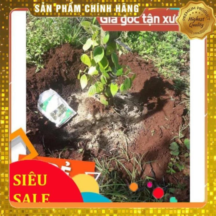 CHẾ PHẨM EM PLUS HLC - CHUYÊN DƯỠNG CÂY, CẢI TẠO ĐẤT TRỒNG, ỔN ĐỊNH PH, NGĂN NGỪA NẤM BỆNH HẠI RỄ CÂY TRỒNG - GÓI 1KG