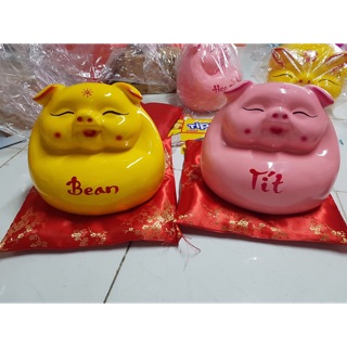 Heo đất bụng phệ to