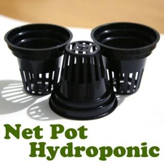 Netpot Thủy Canh