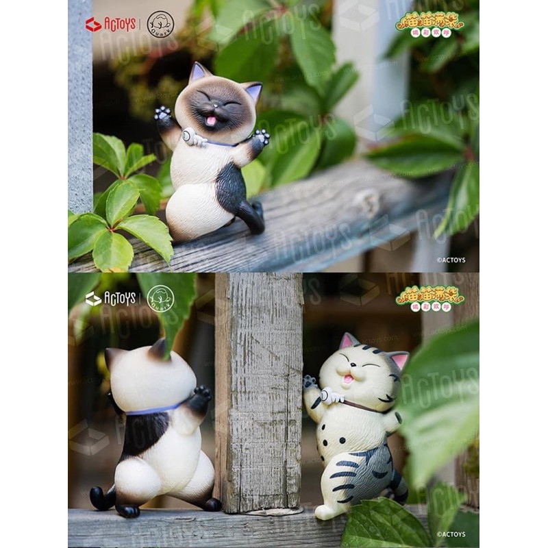 Sản Phẩm Blindbox : Bé Mèo