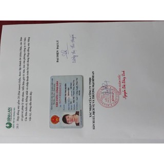 kẹo diệp lục trái cây bình an