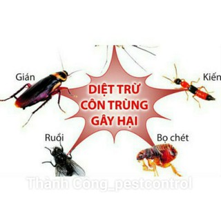 Thuốc diệt ruồi muỗi kiến gián Sumithrin 10SEC
