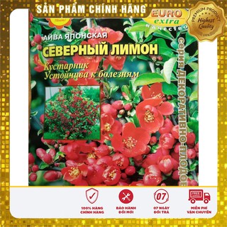 HẠT GIỐNG CÂY MAI ĐỎ NHẬT -HG NGA