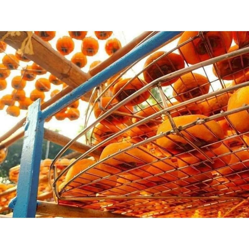 1kg Hồng Sấy Dẻo Nguyên Trái