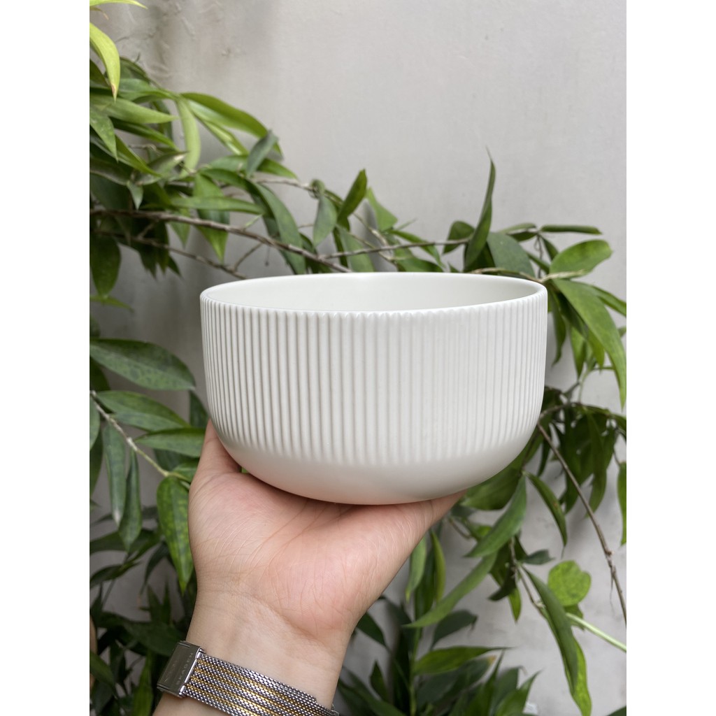 Tô mì 15cm men trắng sọc Cruise sang trọng - Tô sứ cao cấp phong cách Bắc Âu