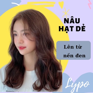 Thuốc Nhuộm Tóc Nâu Hạt Dẻ Không Cần Tẩy
