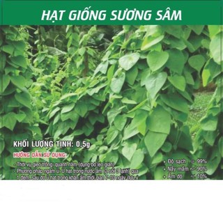 Hạt Giống Sương Sâm 0.5gr