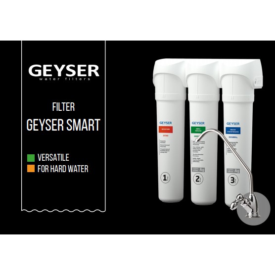 Máy lọc nước Geyser Smart Varsatile