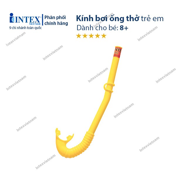 [LOẠI CAO CẤP] Kính bơi ống thở trẻ em INTEX 55642