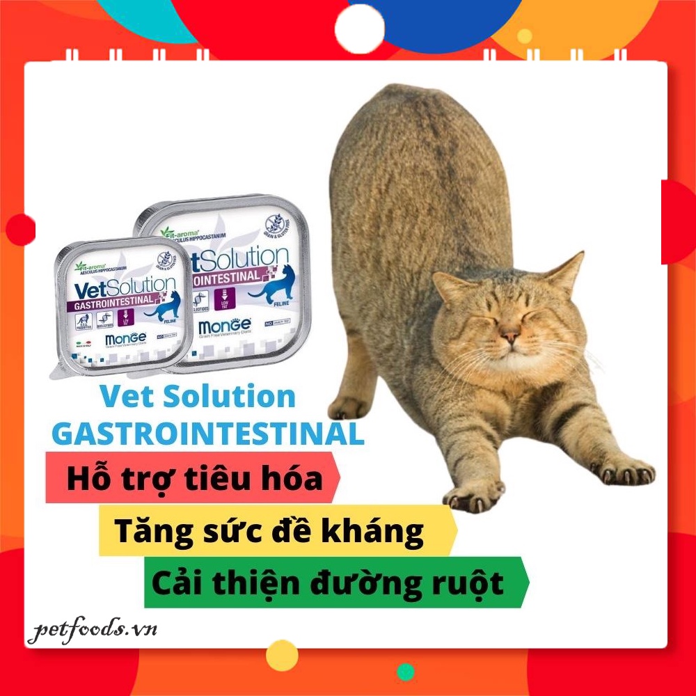 Pate cho mèo MONGE VETSOLUTION CAT 100g