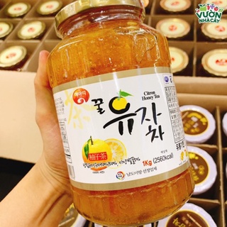 Mật Ong Chanh Hàn Quốc Gavo Citron Honey Tea