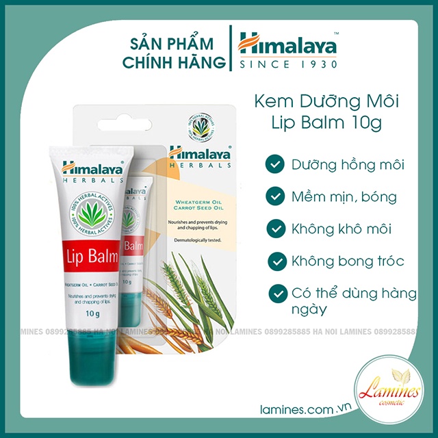 Son Dưỡng Môi Himalaya Lip Balm 10g - Bản Nội Địa