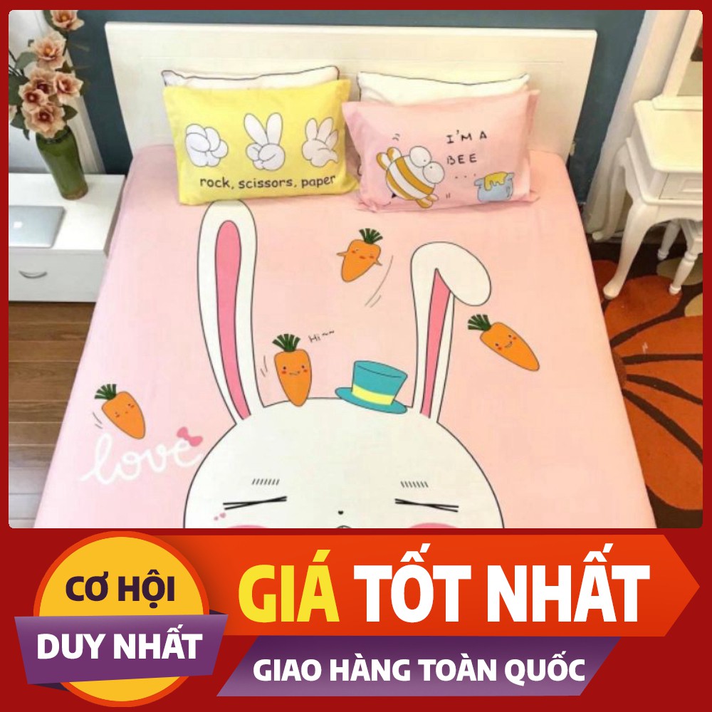 Bộ ga gối cotton 100% mềm mịn, thoáng mát, không xù, không phai