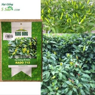 Hạt Giống Ớt Xiêm RĐ 712