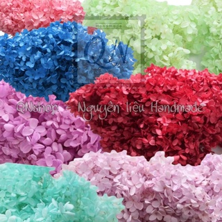 Hoa cẩm tú cầu khô dùng trang trí, làm resin, nến thơm...