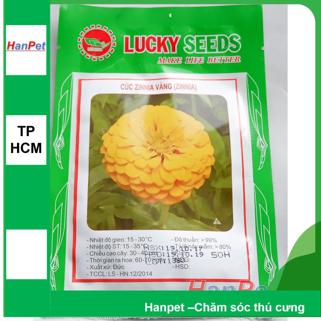 HCM-(HOA TRONG NHÀ) Hạt giống Hoa cúc lá nhám Cúc cánh giấy - cúc zinnia (tCúc bông to màu vàng) Combo 50 hạt