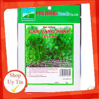 - Hạt Giống Rau Cần Tây chất lượng.