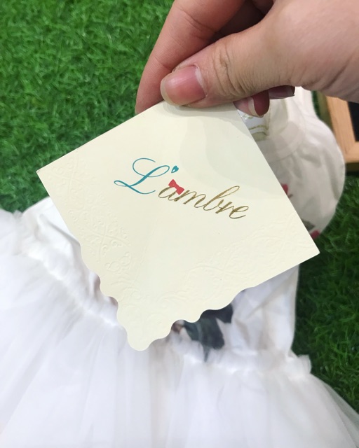 Tutu dress in hoa hồng
