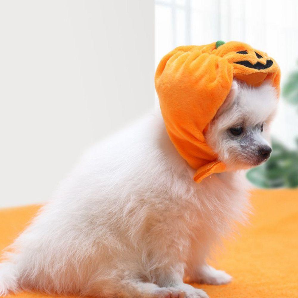 Mũ Đội Hình Quả Bí Ngô Halloween Dễ Thương Dành Cho Cún Cưng