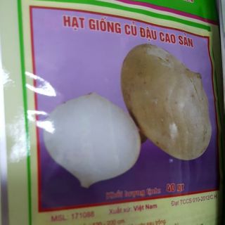 Hạt giống củ đậu