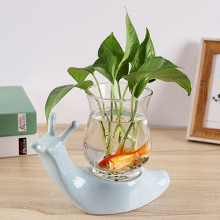 Sáng Tạo Màu Xanh Lá Cây Trồng Thủy Canh Bình Thủy Tinh Trong Suốt Chậu Nước Họ Tre Hoa Sắp Xếp Đồ Dùng Máy Tính Để Bàn