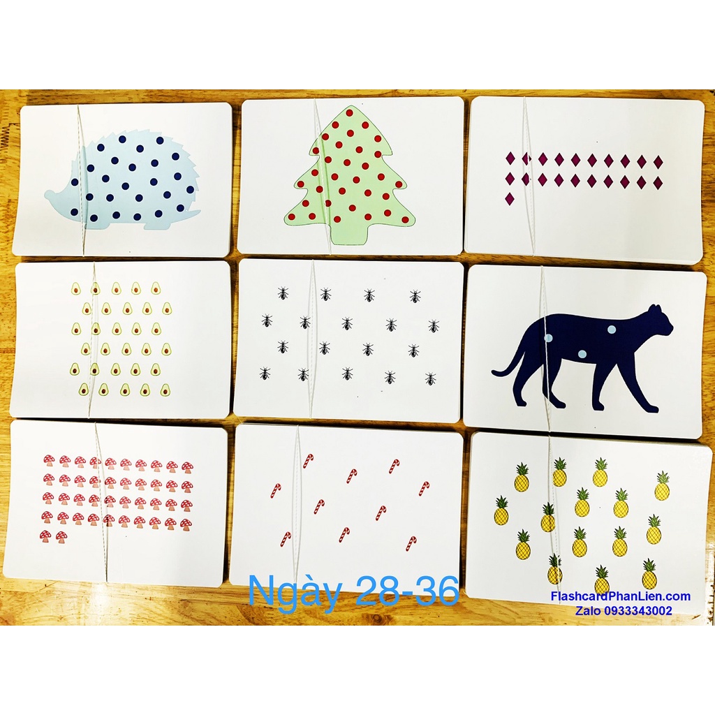 Flashcard thẻ dotcard SHICHIDA chuẩn 63 ngày - 663 thẻ
