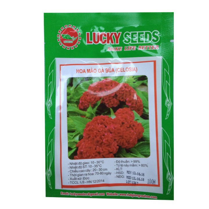 Bán buôn- Hạt giống hoa mào gà búa (celosia) gói 100 hạt xuất xứ Đức hàng đẹp, nhập khẩu.