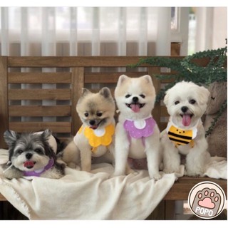 ❣️ Yếm đeo cổ dễ thương cho chó mèo
