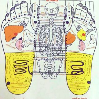 Dụng cụ massage chân Duy Thành