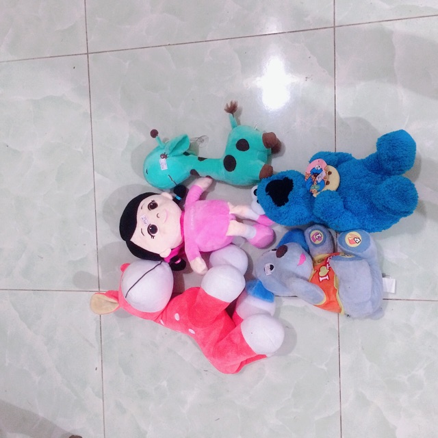 Gấu của c Phượng