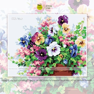 Tranh tô màu 40x50cm có khung Hoa cánh bướm T120