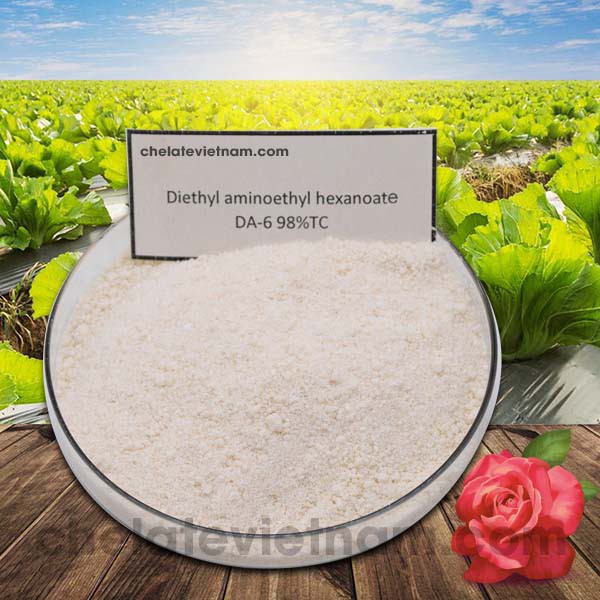 Cytokinin DA6 98%  gói 100gram