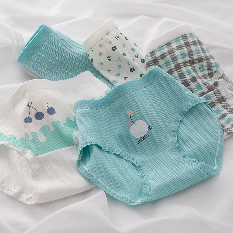 Bộ 1/5 Quần Lót Cotton Lưng Vừa Thoáng Khí Cho Nữ