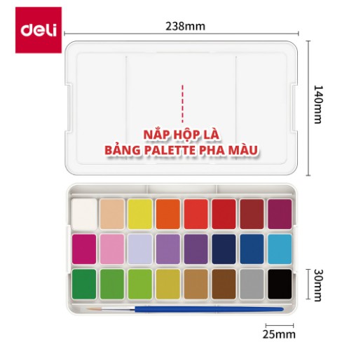 Màu nước vẽ dạng nén Deli - 12 màu/18 màu/24 màu - 73868 / 73869 / 73870