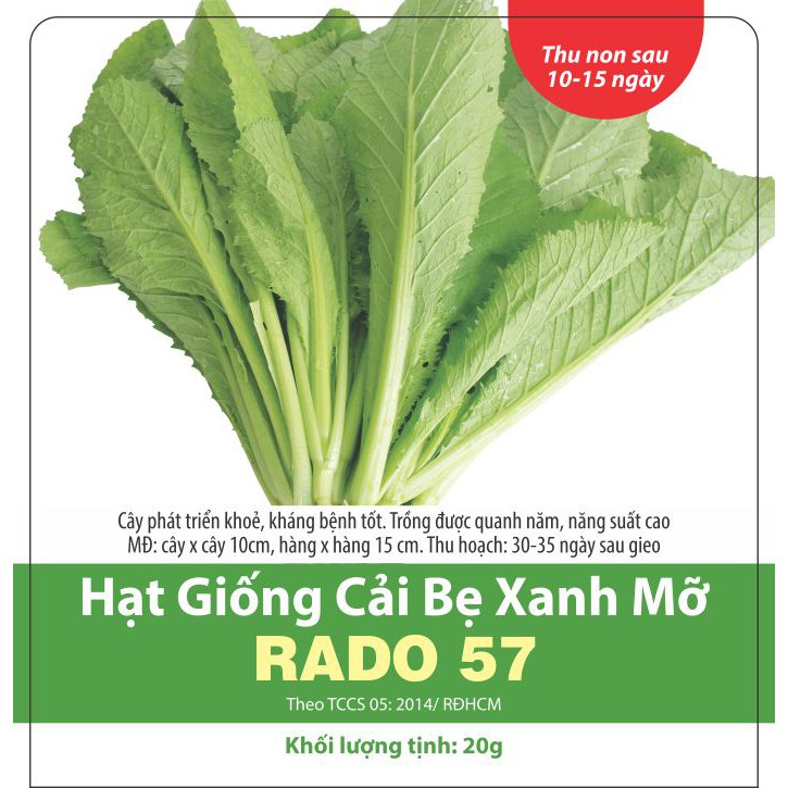Hạt giống Rau Cải Bẹ Xanh Mỡ