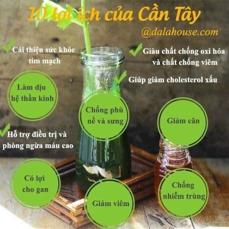 500g Bột cần tây Nguyên chất loại 1 siêu mịn thơm