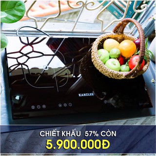 Bếp Kanzler 2 từ