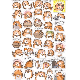 Sticker mini khổ A4 mèo béo chống nước