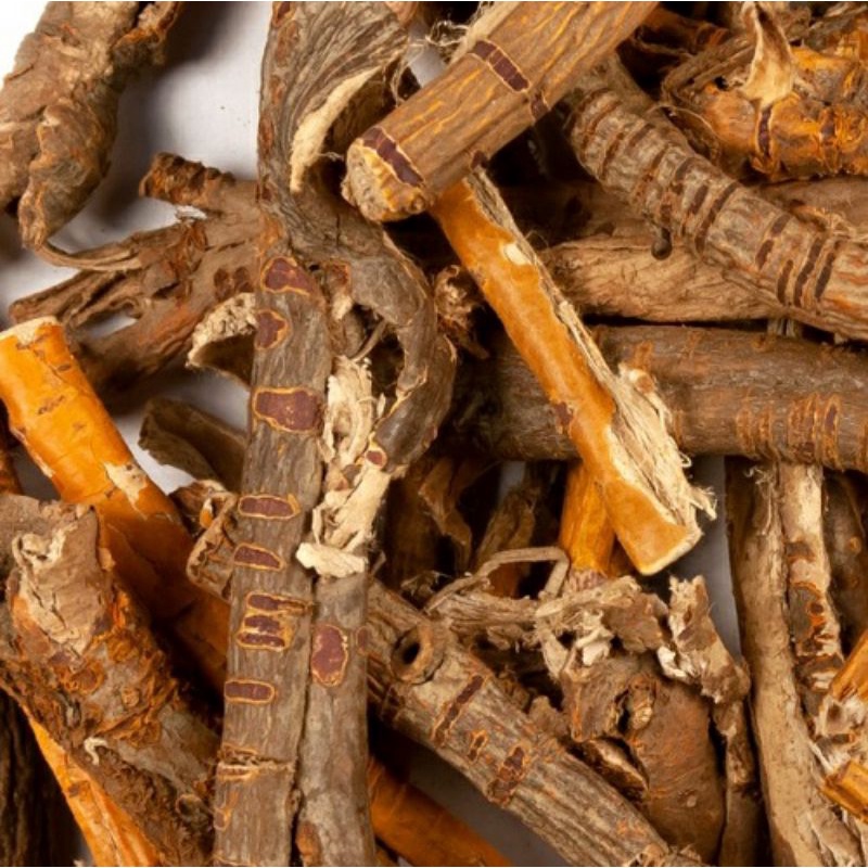 Tang Bạch Bì  - Hàng chất lượng chuẩn mới, thơm, sạch, đã sao vàng